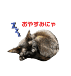 黒猫じんたろう（個別スタンプ：15）