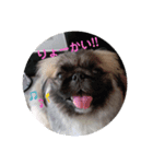 mame♡マイペースなそらまめスタンプ（個別スタンプ：2）