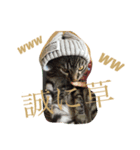 うちんくのねこ1（個別スタンプ：2）