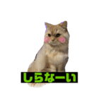 らぶちょこ その2（個別スタンプ：2）
