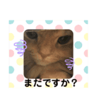 らぶちょこ その2（個別スタンプ：3）