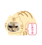 らぶちょこ その2（個別スタンプ：4）