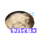 らぶちょこ その2（個別スタンプ：6）