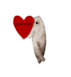 Pomeranianlover（個別スタンプ：4）