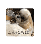 はむもも（個別スタンプ：2）