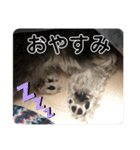 はむもも（個別スタンプ：4）