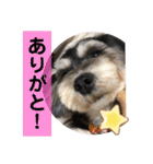 はむもも（個別スタンプ：7）