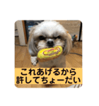 はむもも（個別スタンプ：9）