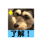 はむもも（個別スタンプ：10）