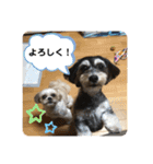 はむもも（個別スタンプ：11）