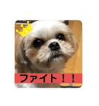 はむもも（個別スタンプ：14）