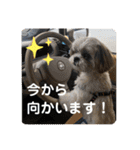 はむもも（個別スタンプ：16）