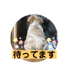 はむもも（個別スタンプ：18）