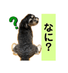 はむもも（個別スタンプ：20）