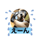 はむもも（個別スタンプ：23）