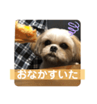 はむもも（個別スタンプ：24）