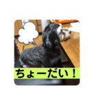 はむもも（個別スタンプ：25）