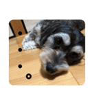 はむもも（個別スタンプ：27）