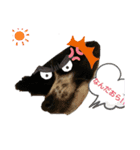 白黒ニーナ（個別スタンプ：13）