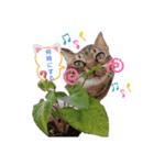 ねこにゃん☆仲良し☆日常会話☆（個別スタンプ：3）