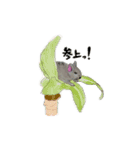 デグーのちっち（個別スタンプ：1）