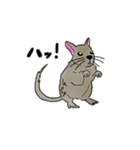 デグーのちっち（個別スタンプ：2）