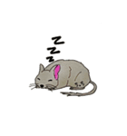 デグーのちっち（個別スタンプ：7）