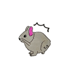 デグーのちっち（個別スタンプ：8）