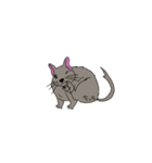 デグーのちっち（個別スタンプ：10）