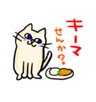 カレーだニャ（個別スタンプ：3）