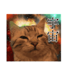 ごまはかせ（個別スタンプ：13）