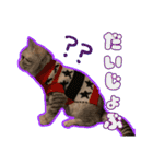 ごまはかせ（個別スタンプ：22）