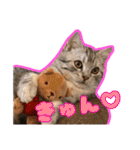 ごまはかせ（個別スタンプ：24）