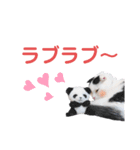 白黒ネコの日常パート6（個別スタンプ：5）