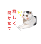 白黒ネコの日常パート6（個別スタンプ：18）
