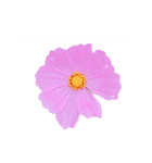日常に使える彩り花スタンプ(敬語ver)（個別スタンプ：1）