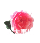 日常に使える彩り花スタンプ(敬語ver)（個別スタンプ：11）
