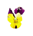 日常に使える彩り花スタンプ(敬語ver)（個別スタンプ：12）