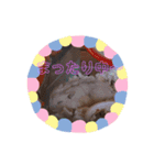 姫菜たんスタンプ（個別スタンプ：4）