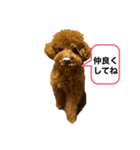 オバメです！（個別スタンプ：1）