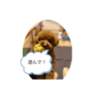 オバメです！（個別スタンプ：3）