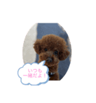 オバメです！（個別スタンプ：8）