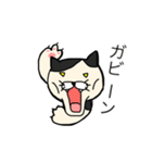 腰が低め、ネコ田くん。（個別スタンプ：14）