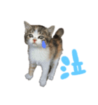 愛猫めい（個別スタンプ：4）