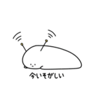 しらこぽん（個別スタンプ：12）