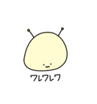 しらこぽん（個別スタンプ：24）