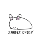 しらこぽん（個別スタンプ：27）
