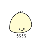 しらこぽん（個別スタンプ：31）