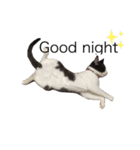 ちまきときどききなこ（個別スタンプ：1）