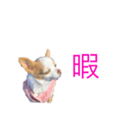 まめちゃんの仲間（個別スタンプ：6）